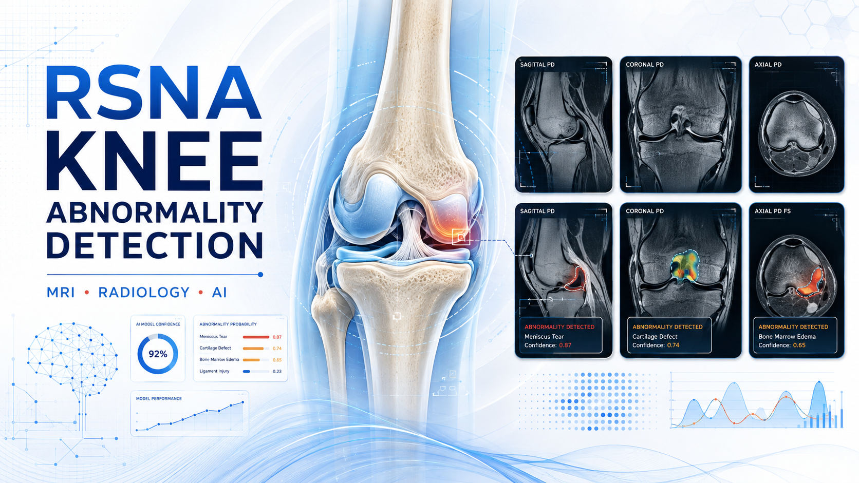 Knee MRI slot sampling and the twelve per-study diagnoses