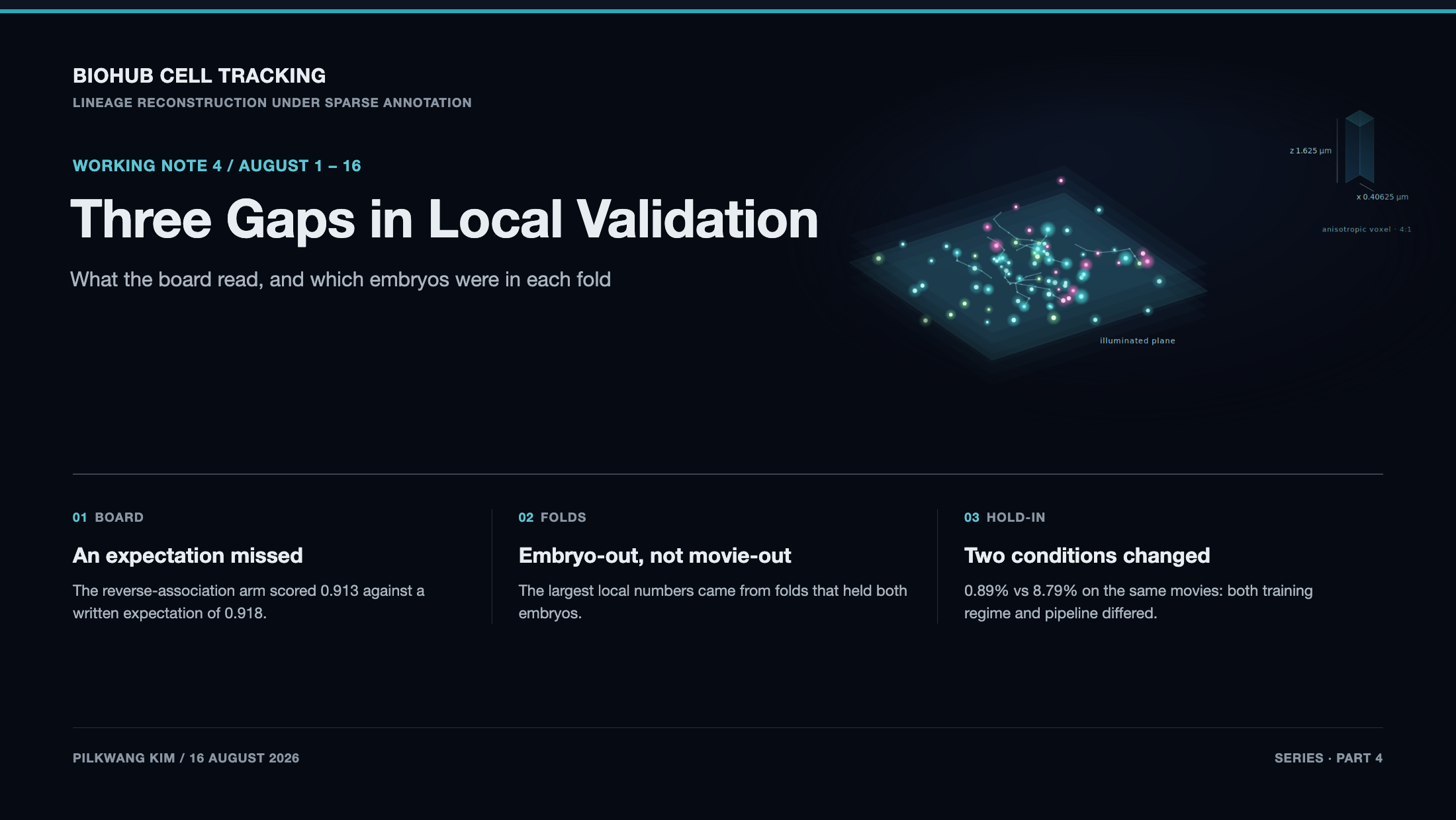 BioHub Cell Tracking Working Note 4: Three Gaps in Local Validation